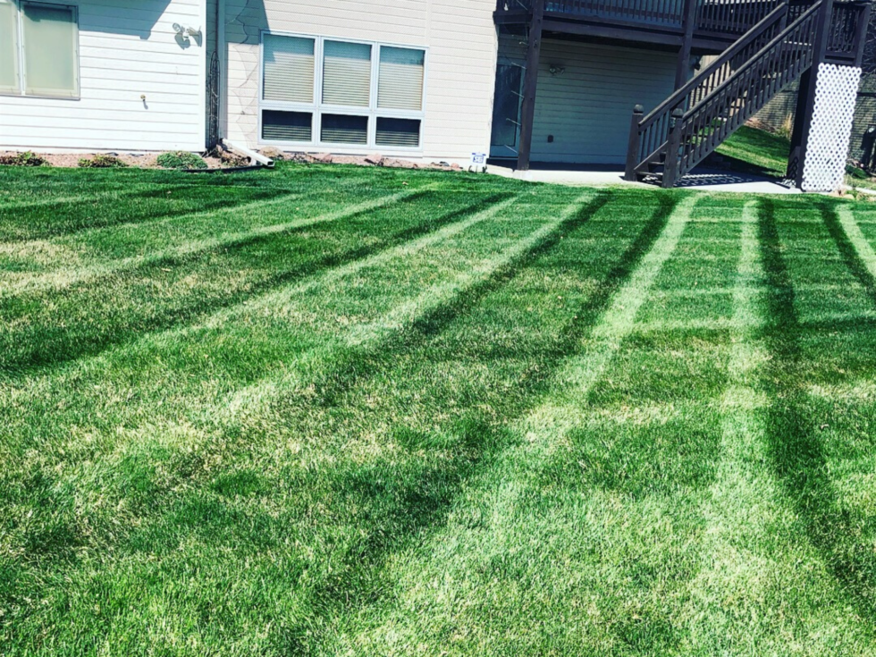 Home - BCS Lawn and Landscaping