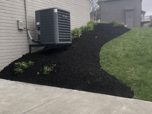 Mulch and Plant Installation