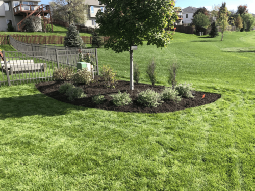 Plants and Mulch Installation