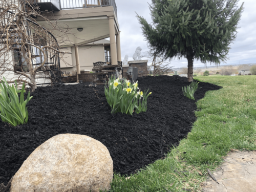 Plants and Mulch Installation