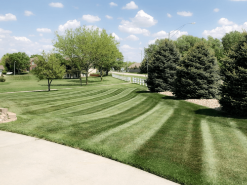 Lawn Mowing and Fertilizer Client